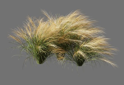 Modern grass pasture plants 3d model