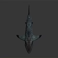Realistic Gray Spotted Shark With Open Mouth Sharp Teeth And Dorsal Fin