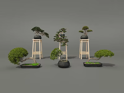 Multiple Bonsai Plants Featuring Curved Branches Green Foliage Placed on Wooden Stands and Ground 3d model