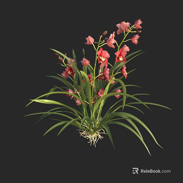 Thriving Flowering Plant Showcasing Pink Flowers Long Green Leaves and Visible Roots 3d model 