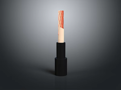 Modern Elegant Lipstick With Red Stripe Pattern And Black Base Design 3d model