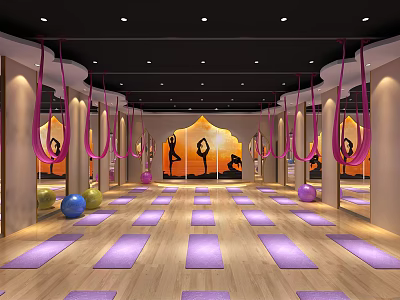 Yoga Fitness Studio With Purple Mats Aerial Hammocks And Yoga Balls 3d model