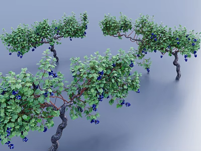 Green Vines With Lush Green Leaves And Blue Berries On Curved Stems 3d model