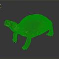 Brown and Yellow Shelled Turtle on Gray Background Detailed Reptile