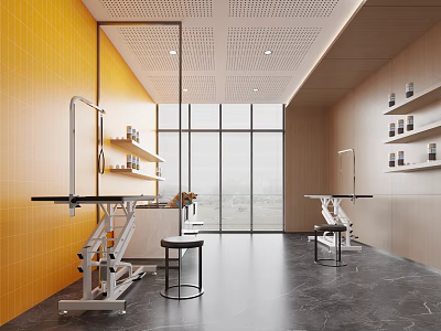 Pet Clinic Interior With Bright Space And Examination Tables 3d model