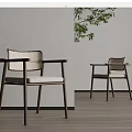 Modern Leisure Chairs Wooden Frame Woven Backrest Light Colored Cushion By Gray Wall Green Plant