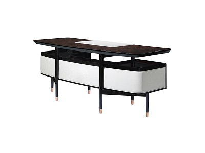 Modern Desk model