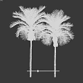 Decorative Ornament Set with Palm Trees Green Leaves and Red Fruits