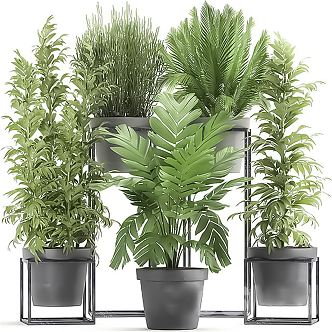 Modern Potted Plant Green Plant Potted Plant Combination Potted Plant Indoor Potted Plant Indoor Green Plant Flowers Potted Plant Pile Green Plant Combination 3d model