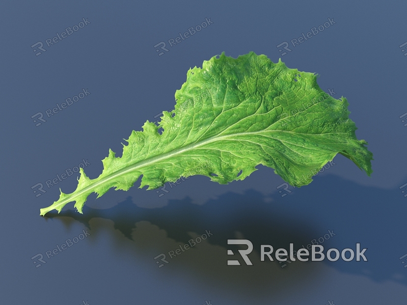 vegetable leaf food mustard model