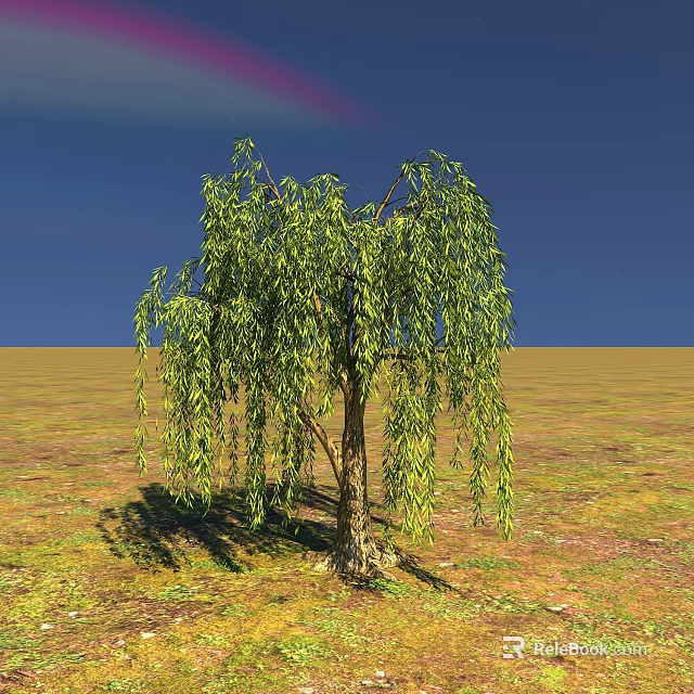 Willow Tree with Green Hanging Branches in Open Grassland Under Blue Sky 3d model