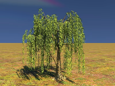 Willow Tree with Green Hanging Branches in Open Grassland Under Blue Sky 3d model
