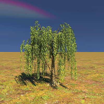 Willow Tree with Green Hanging Branches in Open Grassland Under Blue Sky 3d model