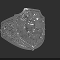 Silver Ring with Engraved Lion Head and Intricate Floral Patterns Design