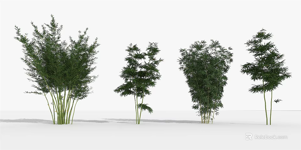 Different Types Of Bamboo Plants With Lush Green Foliage And Varied Heights 3d model 