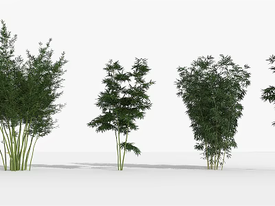 Different Types Of Bamboo Plants With Lush Green Foliage And Varied Heights 3d model