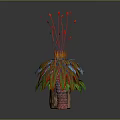 Vibrant Cartoon Plants With Colorful Leaves Red Top Decorations And Different Colored Pots