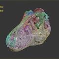 Modern Dinosaur Skull Skull Tyrannosaurus Rex Skull Animal Skull 3d model