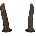 Natural Arbor Tree Trunks With Textured Bark Standing Isolated Against White Background 3d model