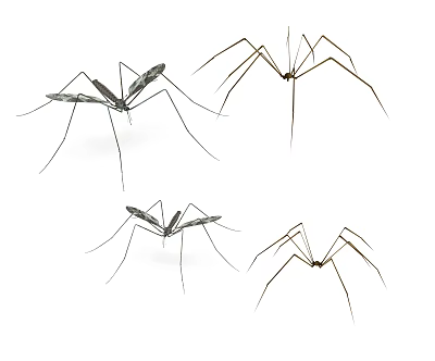 The Modern Mosquito 3d model