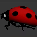 Cartoon Ladybug With Red Back Black Spots And White Eyes On Dark Background