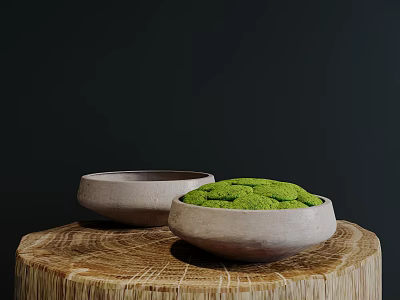 Green Moss Potted Plants In Clay Bowls On Wooden Stump 3d model