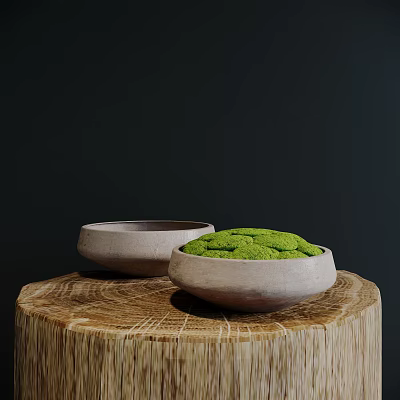 Green Moss Potted Plants In Clay Bowls On Wooden Stump 3d model