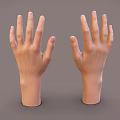 Two Realistic Human Hands with Palms Up Displayed on Gray Background 3d model