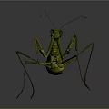 Green Mantis with Vibrant Body Extended Forelegs and Long Antennae
