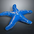 Blue Starfish With White Spots On Textured Surface Against Dark Background