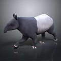 Realistic 3D Tapir Character With Gray And White Body Standing On Reflective Surface