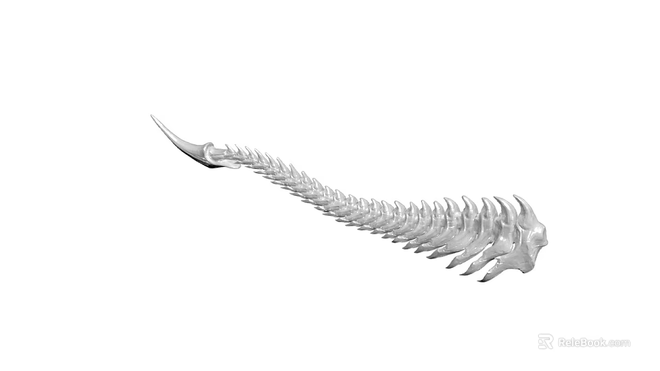 Elongated Fish Spine Skeleton Structure With Connected Vertebrae On White Background 3d model 