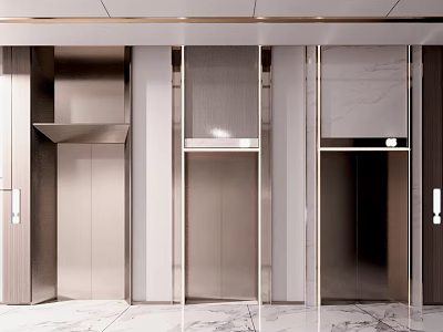 Luxury Modern Elevator Interior With Metallic Doors And Marble Floor Design 3d model