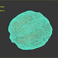 Fresh Walnut with Brown Shell and Natural Surface Texture on Dark Background
