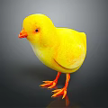 Cute Yellow Flying Animal Baby Chick With Orange Beak And Feet Standing On Black Background