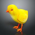 Modern Chick Chick Chick 3d model