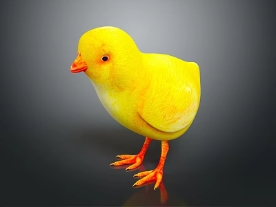 Cute Yellow Flying Animal Baby Chick With Orange Beak And Feet Standing On Black Background 3d model