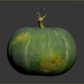 Fresh Organic Green Pumpkin With Natural Stem And Shiny Surface On Dark Background