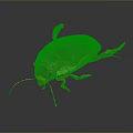 Close Up View Of Brown Beetle With Red Legs And Antennae On Reflective Dark Background