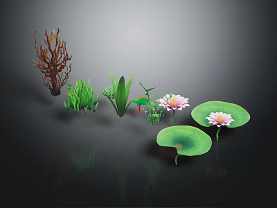 Aquatic Plants With Lotus Flowers Lily Pads And Reflections On Dark Water Surface 3d model