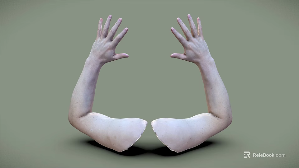 Human Severed Arms With Open Palms Facing Upwards Against Green Background 3d model 
