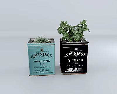 Modern Potted Plant 3d model