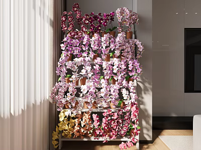 Colorful Mixed Potted Plants on Multi tiered Shelf in Bright Indoor Living Space 3d model