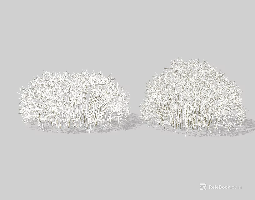 Beautiful White Shrubs With Dense Branch Structure In Outdoor Garden 3d model 