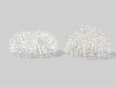 Beautiful White Shrubs With Dense Branch Structure In Outdoor Garden 3d model