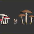 Colorful Mushroom Varieties With Red Spotted Orange And White Caps