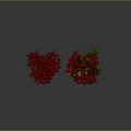 Vibrant Red Berry Plant Branches with Lush Green Leaves Decorative