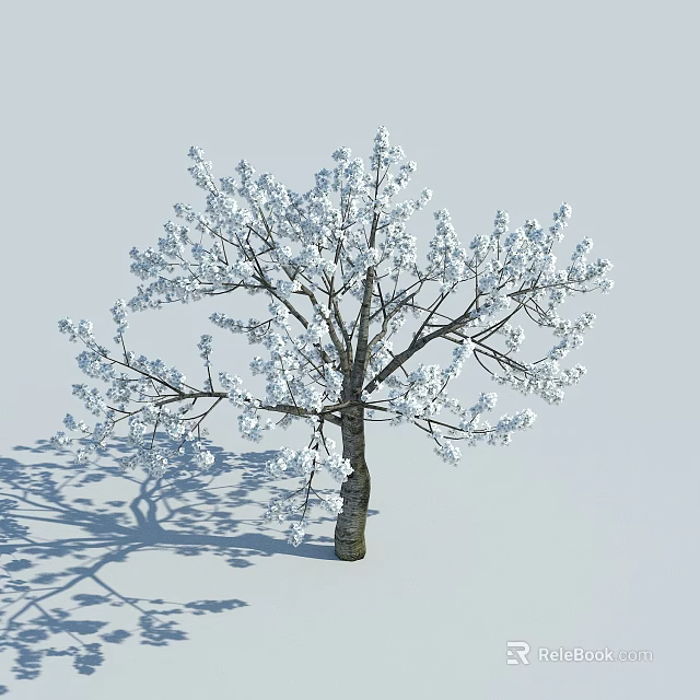 Snow Covered Tree with White Snow on Branches and Trunk Casting Shadow on White Background 3d model