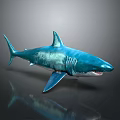 Shiny Blue Shark With Glossy Surface On Dark Background And Reflection 3d model