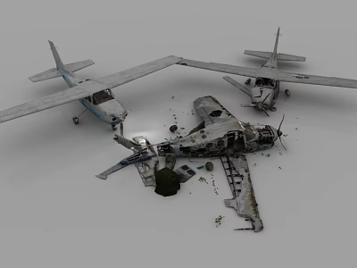 Damaged Airliner Wreckage Showing Signs Of Damage With Separated Parts Scattered On Ground 3d model
